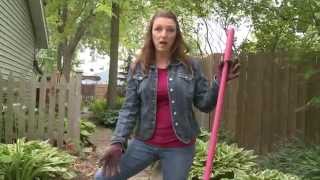 How to Divide a Hosta and Get Larger Leaves