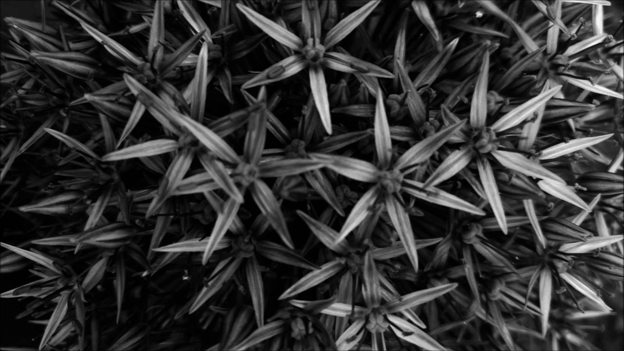 Esterra - M031(Orginal Mix)