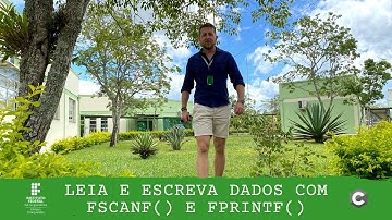 [ARQUIVOS EM C] Como e quando usar fscanf() e fprintf() p/ ler e escrever em arquivos