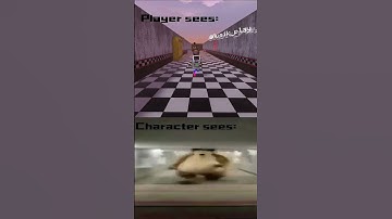 What player sees VS what character sees  #game #roblox #fnaf #memes