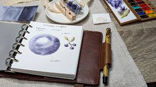 How to Make Berries Look Round | Lightwish Watercolor Travel Journal Review