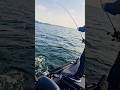 Es beißt im See. 🎣 #angeln #fishing #hecht