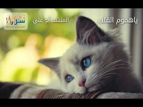 ياهموم القلب بصوت المنشد أبو علي