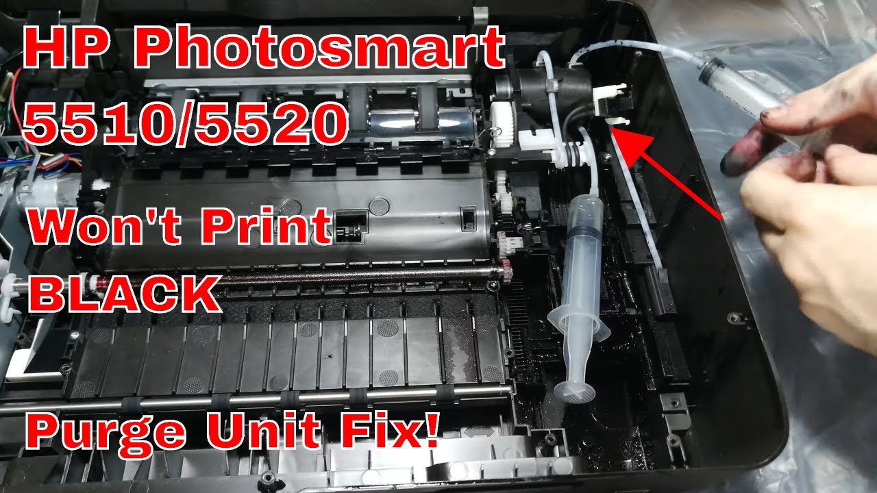 HP Photosmart 5510/5520 Won't Print Black • Purge Unit Repair & Printer  Refurbish - YouTube