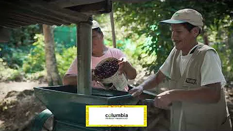 Rainforest Alliance Gala – Corporate Sustainability Champions