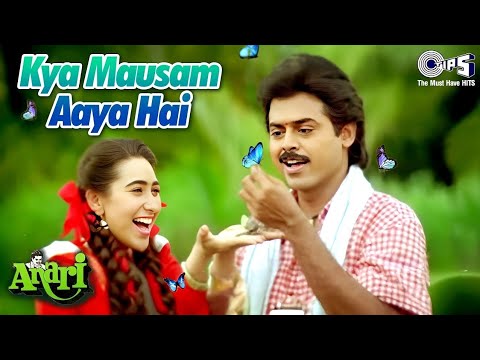 Kya Mausam Aaya Hai - Sadhana Sargam - Udit Narayan - Anari (1993) - Sameer - Sadabahar Hindi Gane