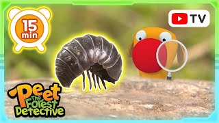 Storytime of the Roly 🌟🌸 | Nature Stories For Kids | Peet The Forest Detective