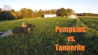 Pumpkins vs. Tannerite