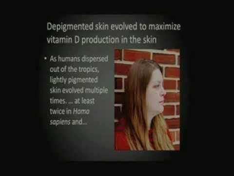 Ewolucja pigmentacji skóry człowieka