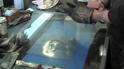 Documentary about Pieter Alewijns, NHTV av3 assignment (30 sec