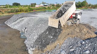 Incredible Dump Trucks Team Bulldozer SHANTUI Show Jobs In Project Working Fill The Lake