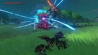 Botw - Killed By Drones