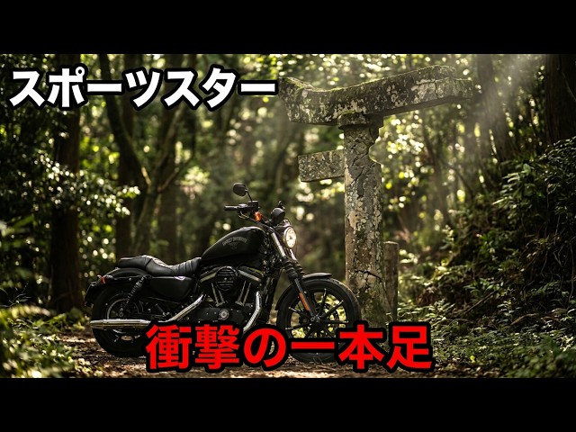 衝撃】1本足の鳥居 【ハーレーダビッドソン】スポーツスターXL883l