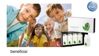 eLead Rhapsody Cactus & American Ginseng