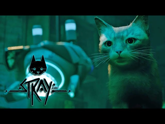 STRAY CAT FINDS A FRIEND! Part 1 -Stray Playthrough- - YouTube