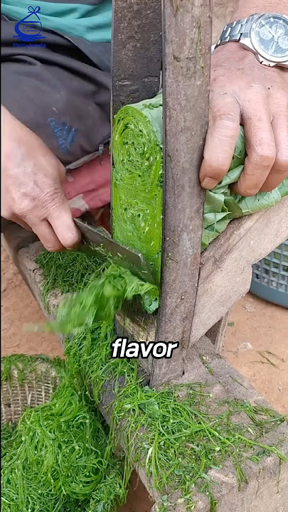 The way to dry Tobacco leaves🌱