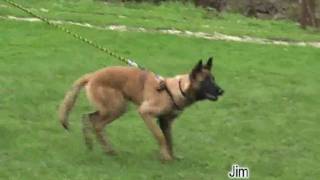 Obrany Vv Děčín-Fig.marek Urban