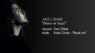 Arzu Demir - şiir - \