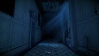 CINERIS SOMNIA