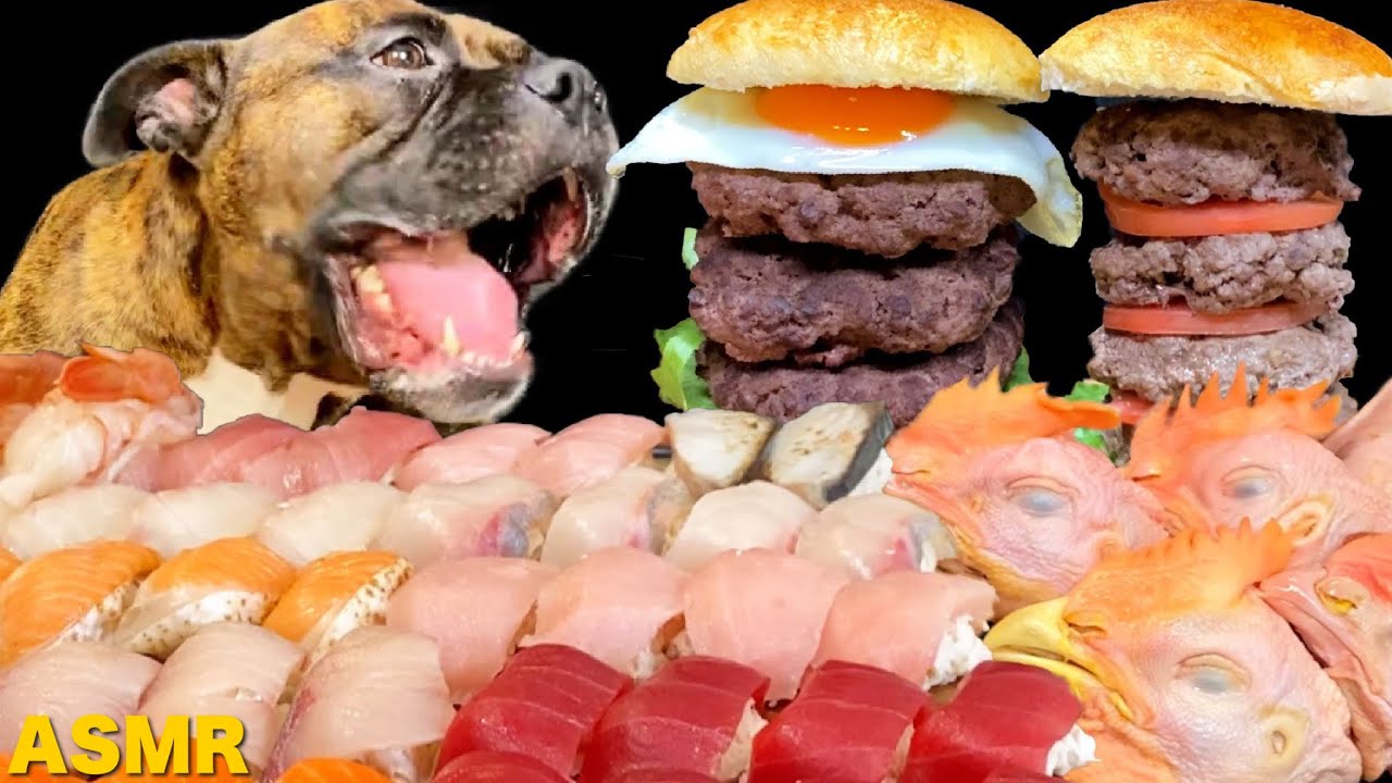 mukbang-asmr-dog-eating-sushi-hamburger-raw-meats-bones-omnibus-14