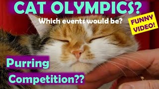 Cat Olympics! Which events would be FUNNY CAT VIDEO! Olympics 2021! Animal fun video!