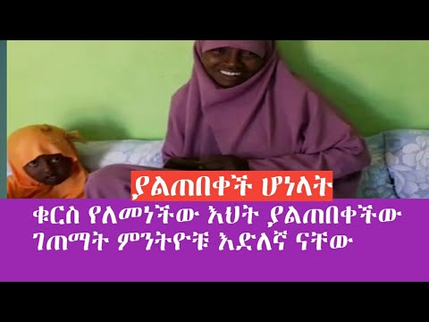 ቪዲዮ: አስደሳች ስለአልጋው እንቆቅልሾች፣ይህም እያንዳንዱ ልጅ ለመፍታት ይደሰታል።