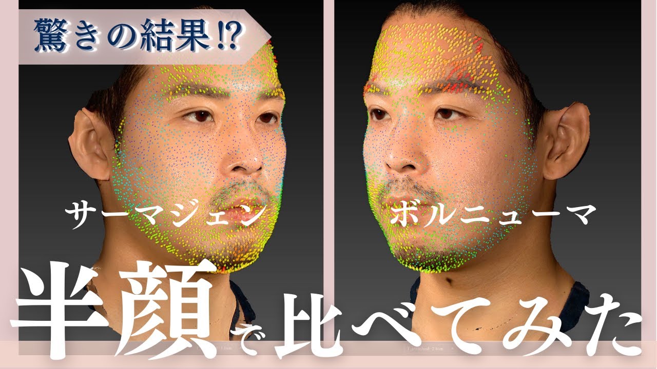 サーマジェンとボルニューマを半顔ずつ当ててみたらどうなるのか検証してみました！