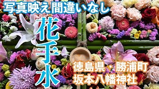 写真映え間違いなし カラフルな花手水が徳島 勝浦に Youtube