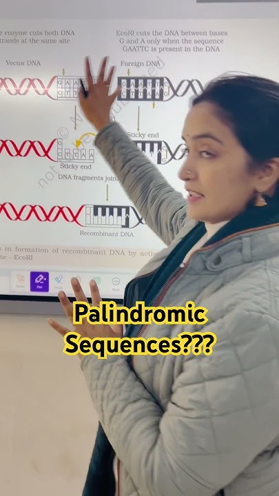 Palindromic Sequences #12thbiology - YouTube