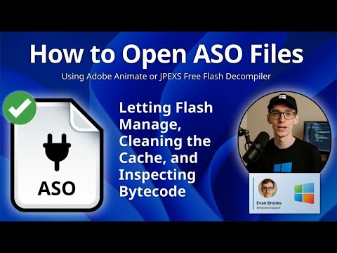 ASO File Tutorial: Opening ActionScript Object Files