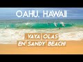 ¡Olas brutales en Sandy beach! Llegada a Oahu, Hawaii