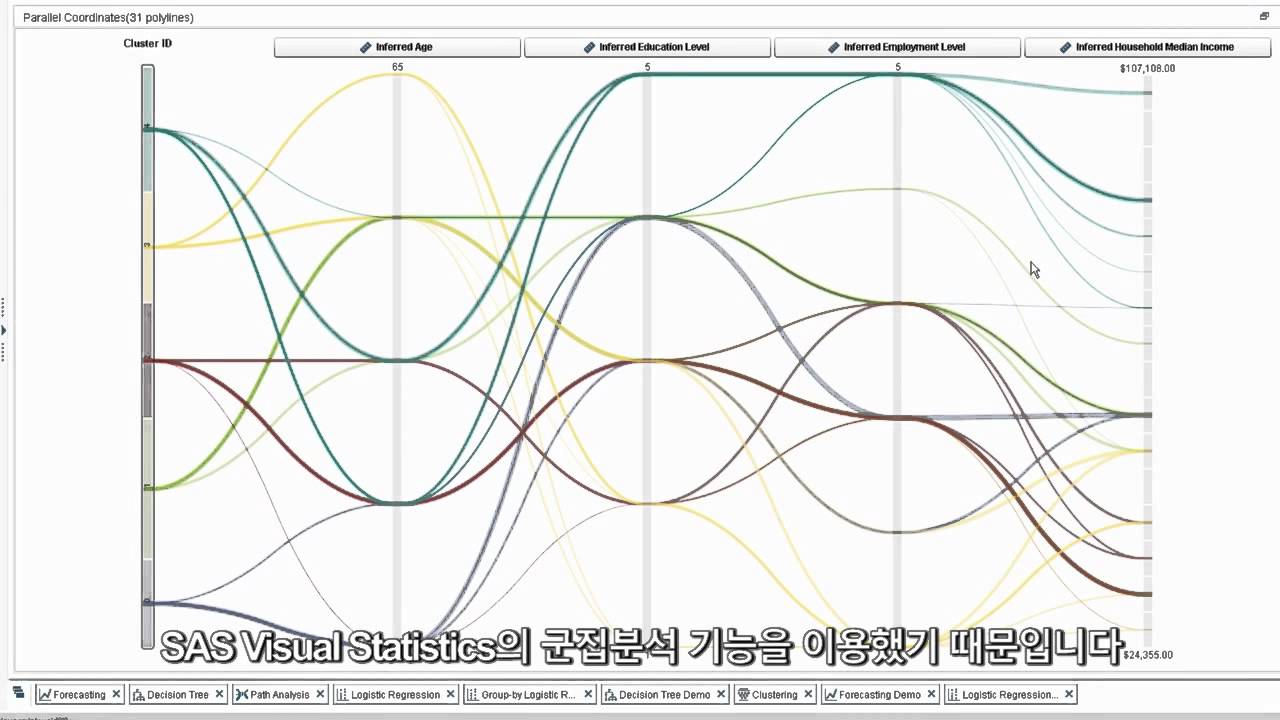 SAS Visual Analytics Statistic Clusters