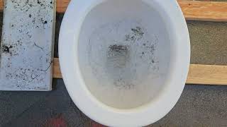 1968 Norris toilet