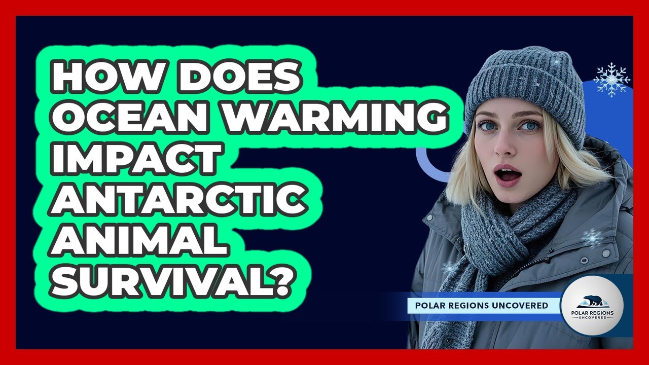 How Does Ocean Warming Impact Antarctic Animal Survival?