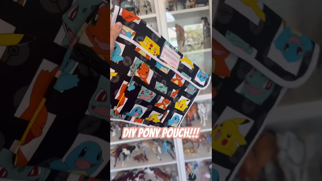 A SUPER FAST PONY POUCH 