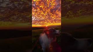 another Love Sunset with luvly boy #sunset  #nature