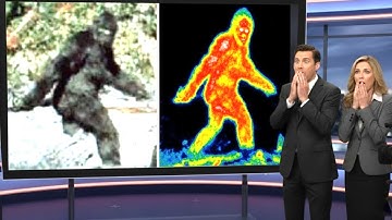 AI Finally Reveals The 1967 Patterson-Gimlin Bigfoot Film, You Won’t Believe What It Found