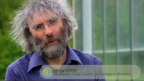 PhD course "International Forestry and Global Issues" official video