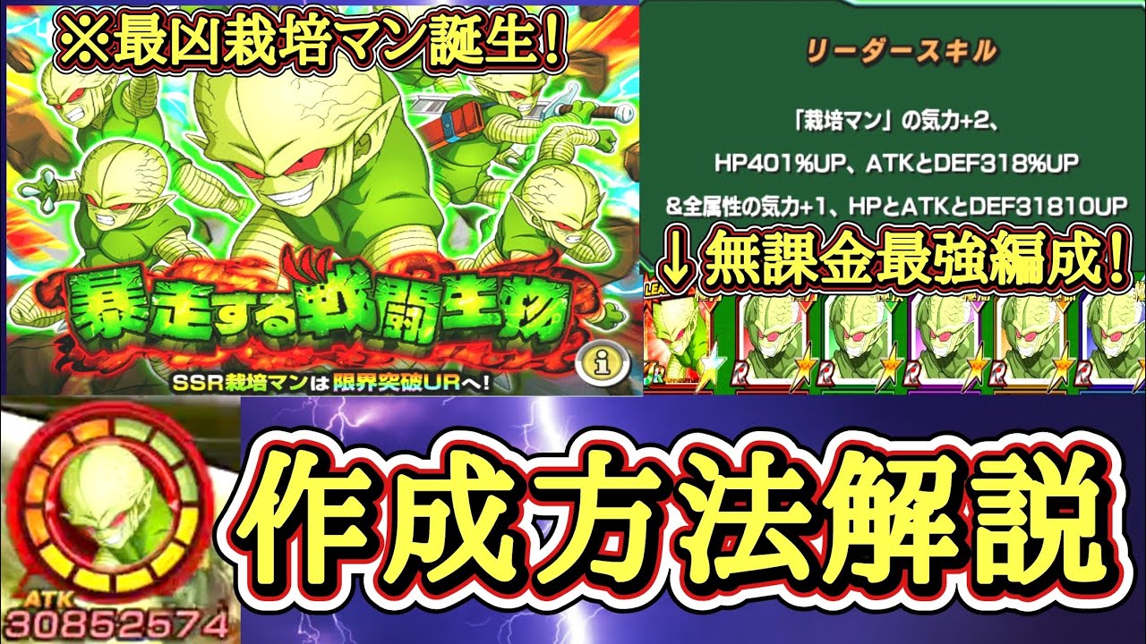 ドッカン バトル 栽培 マン