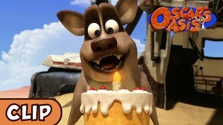 Oscar's Oasis - Harchi's Birthday | HQ | Funny Cartoons