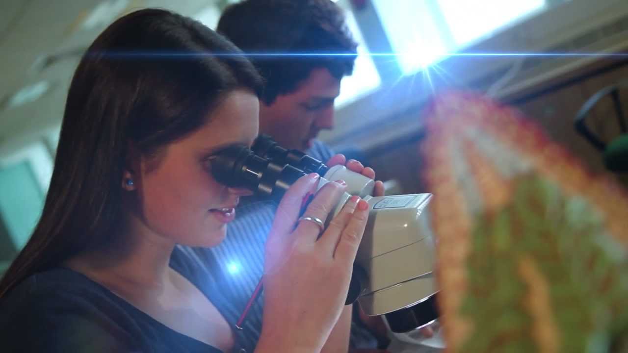 films on amazon prime What is Marine Biology?