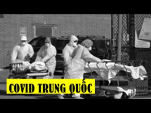 Tóm tắt Đại dịch Covid ở Trung Quốc | TQ còn dịch không?