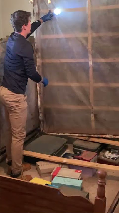 Bed Bug Treatment