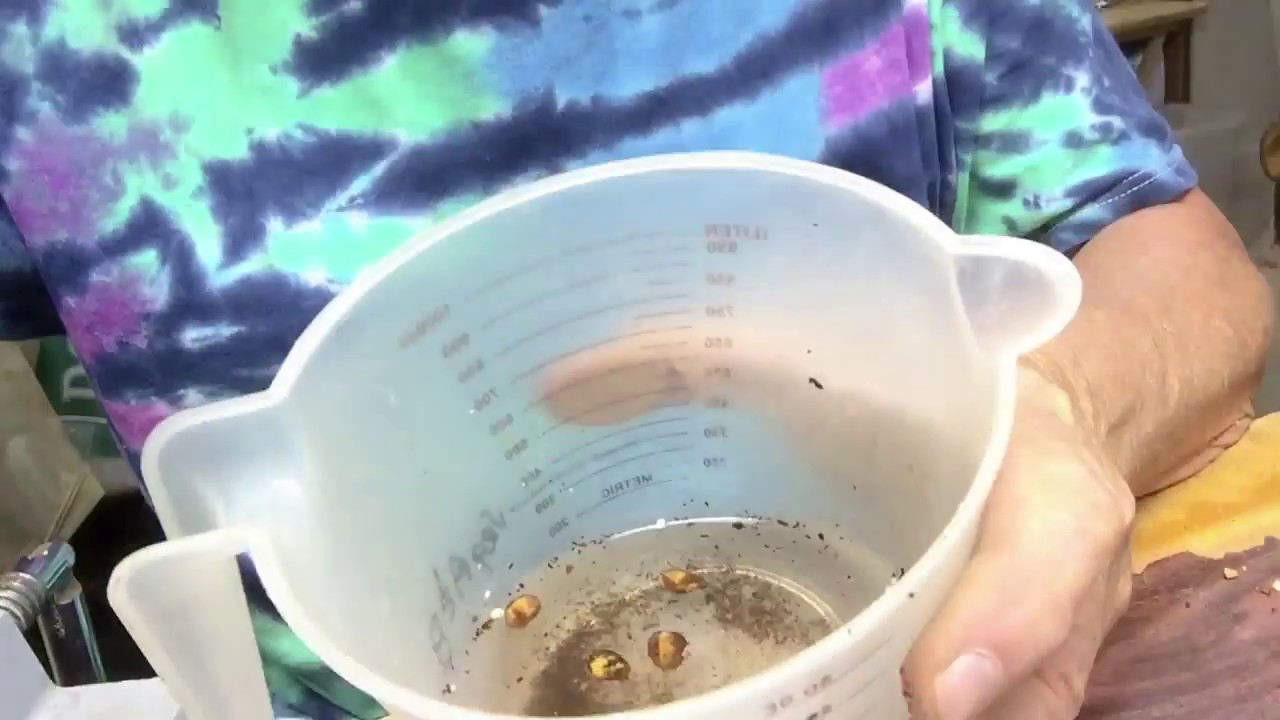 How to save Cherry seeds