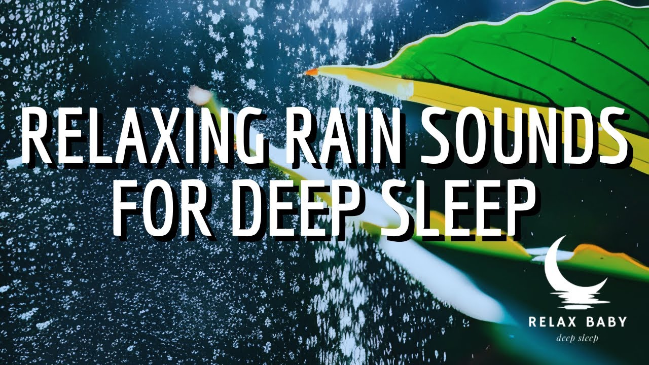 Relaxing Rain Sounds for Sleep | Calming Rainfall on Trees | 1 Hour ...