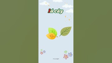 HỌC CHỮ L | CÙNG BÉ LÀM QUEN VỚI BẢNG CHỮ CÁI TIẾNG VIỆT | FUNNY ENGLISH