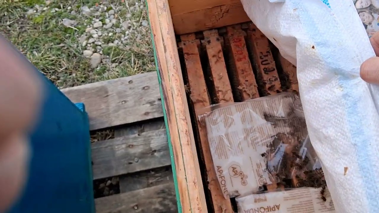 Scurta vizita la stupi !