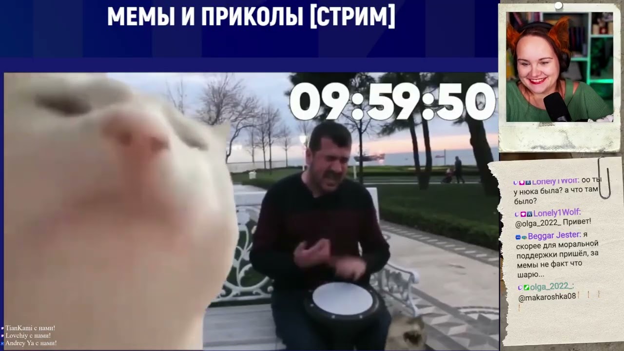 Квиз с чатом