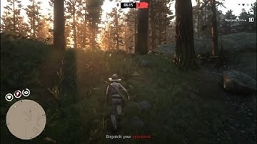 More lag switch trash players