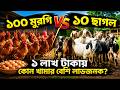 ১০০ মুরগি vs ১০ ছাগল | ১ লাখ টাকায় কোন খামার বেশি লাভজনক?
